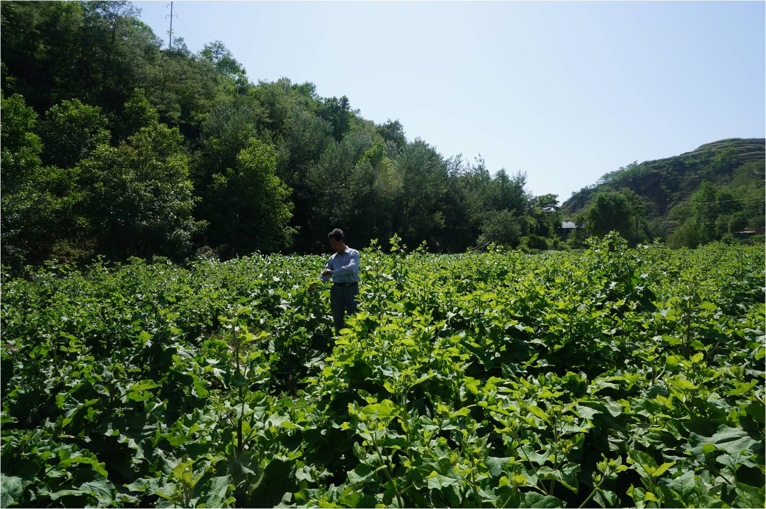 兰州文献情报中心开展“双联”项目对接调研活动----中国科学院兰州分院