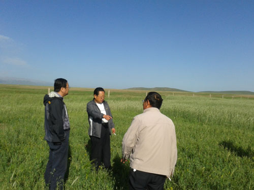 兰州分院与甘肃中牧山丹马场共商合作-兰州分院
